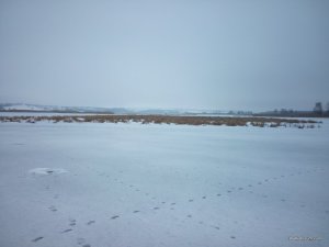 IMG_20160213_100358.jpg