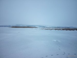 IMG_20160213_100402.jpg