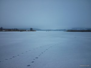 IMG_20160213_100406.jpg