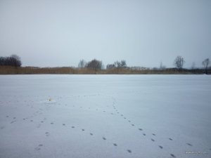 IMG_20160213_100412.jpg