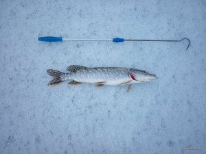 IMG_20160213_074522.jpg