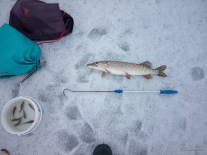 IMG_20160213_105034.jpg
