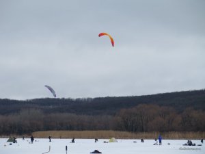 IMG_7259.JPG