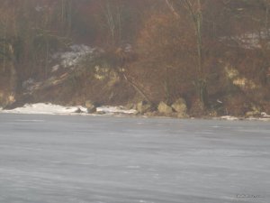 IMG_7329.JPG