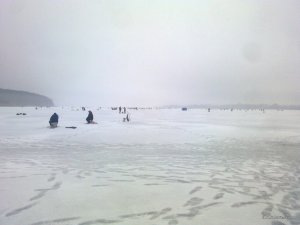 13022016052.jpg