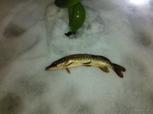 IMG_2016-01-31_171519.jpg