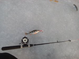 IMG_20160113_092001.jpg