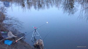 IMG_20160220_170733.jpg