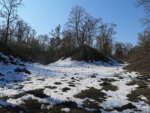 IMG_7507.JPG