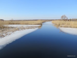 IMG_7546.JPG