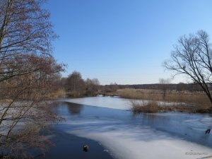 IMG_7555.JPG