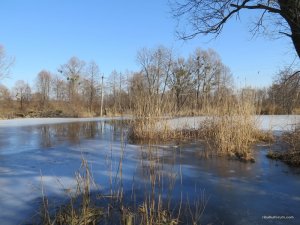 IMG_7537.JPG