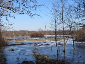 IMG_7565.JPG