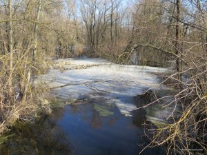 IMG_7583.JPG