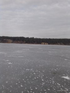 20160221_151059.jpg