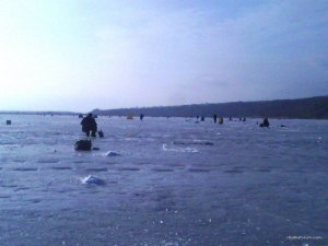 IMG_20160221_084742_0.jpg