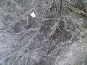 IMG_20160221_165808_0.jpg