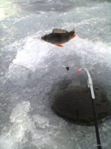 IMG_20160221_161647_0.jpg