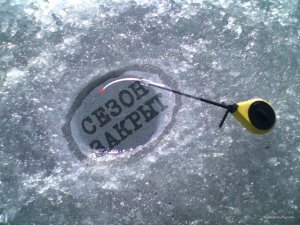 IMG_20160221_130109_0.jpg