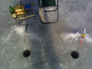 IMG_20160221_121758.jpg