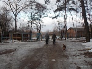 DSCN0339.JPG