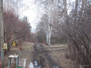 DSCN0345.JPG