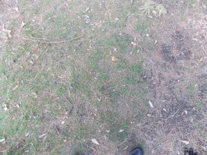 DSCN0333.JPG