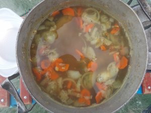 DSCN0290.JPG