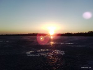 IMG_20160220_065434.jpg