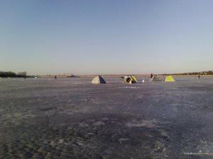 IMG_20160220_073958.jpg