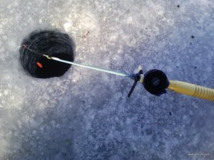 IMG_20160220_073950.jpg