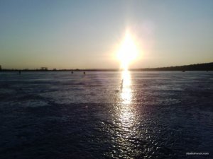 IMG_20160220_163210.jpg