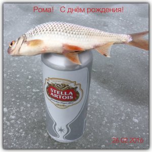 image.jpeg