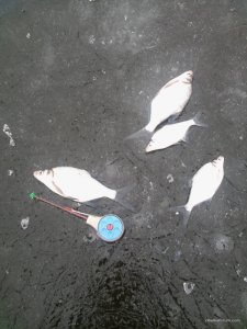 20160227_102730.jpg
