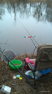 IMG_20160227_082222[1].jpg