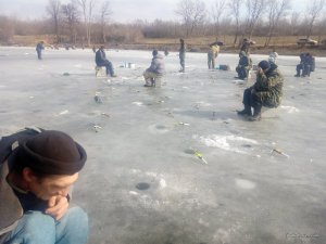 IMG_20160228_114238.jpg