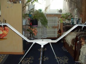 SDC16962.JPG