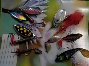 IMG_20160215_160033.jpg