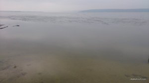 DSC_0224.JPG