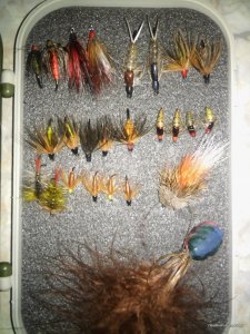 20160305_002439.jpg