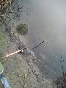 20160305_135839.jpg