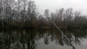 IMG_20160305_150409.jpg