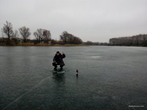 IMG_20160306_072147.jpg