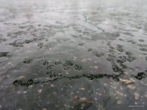 IMG_20160306_105728.jpg
