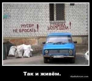 ojfzmVfxvlg.jpg