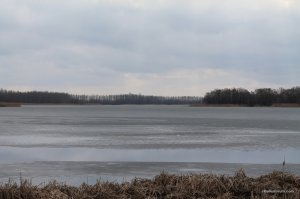IMG_7256.JPG