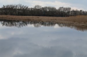 IMG_7271.JPG