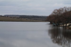 IMG_7274.JPG