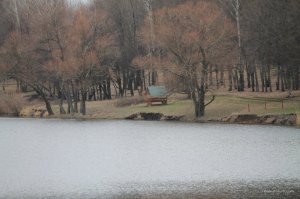 IMG_7278.JPG