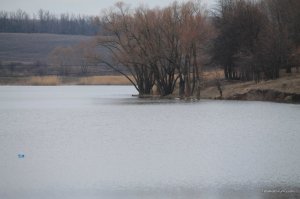 IMG_7279.JPG